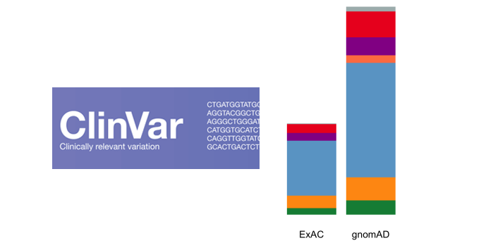 ClinVar variants, gnomAD, affected status
